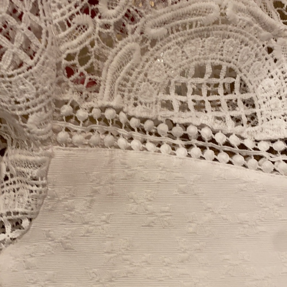 Forever 21 Lace Cropped Top - Picture 2 of 5